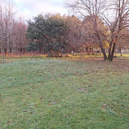 Holiday home Loue Charmante Petite Maison Dans Un Ecrin De Verdure Saint-Vivien-de-Medoc
